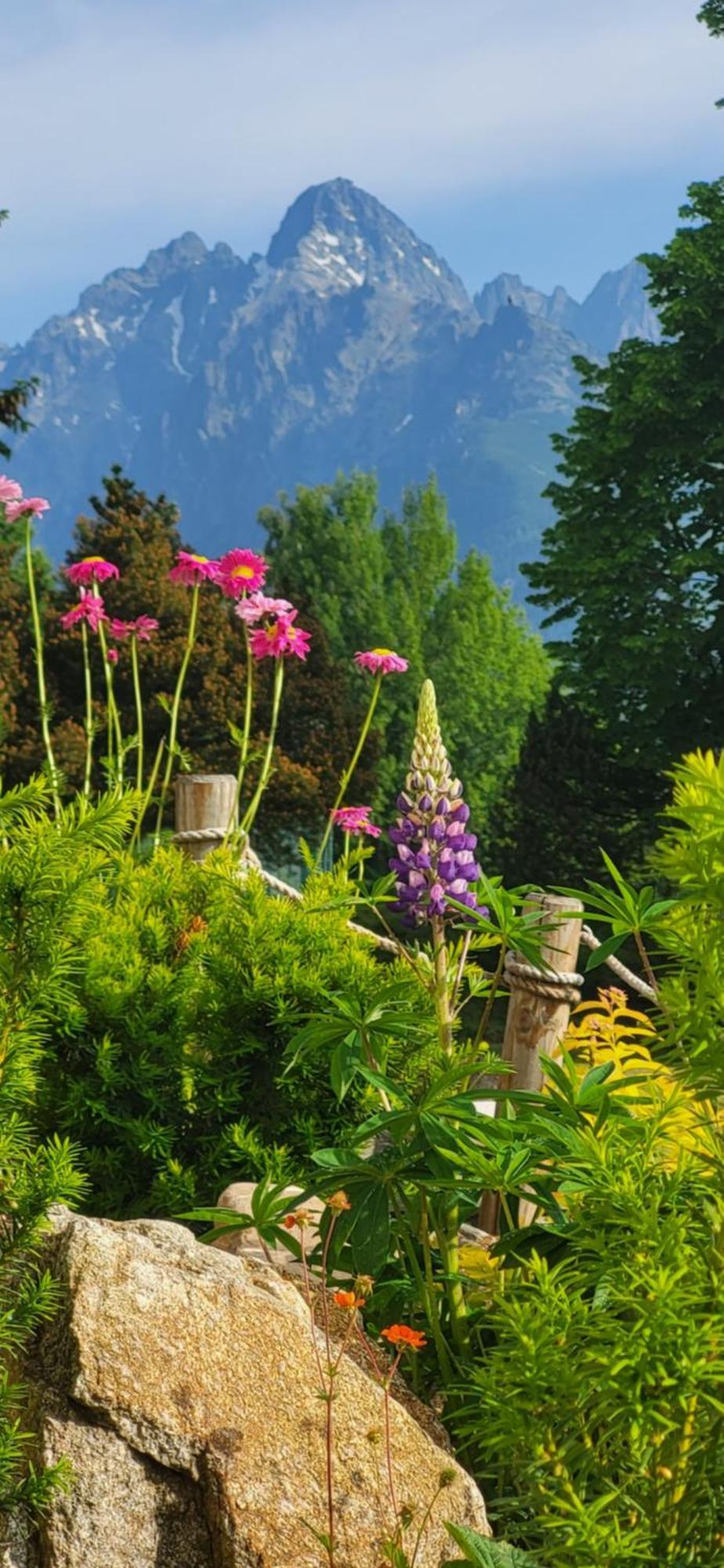 Vila Kollar Wysokie Tatry Pokój zdjęcie